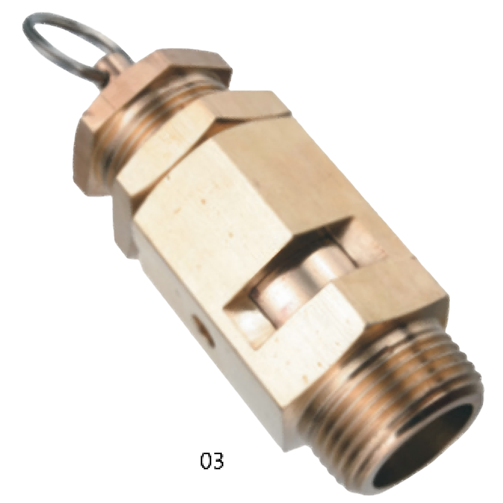 Safety Valve